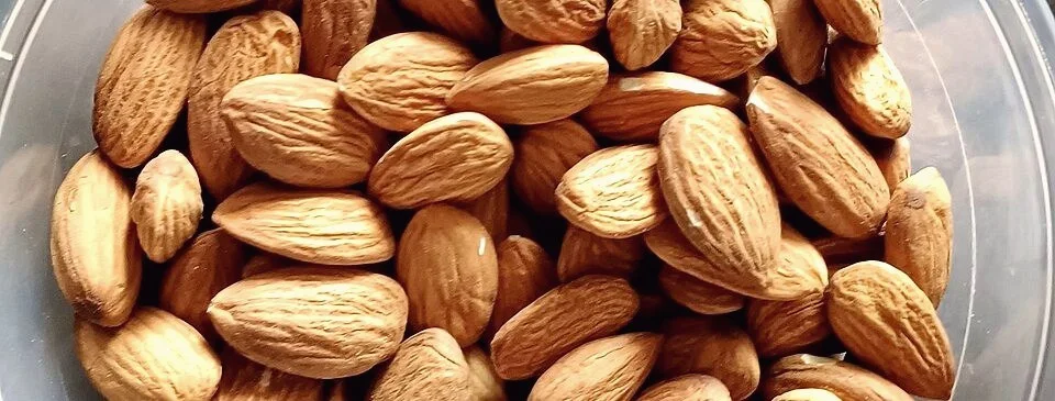 A close-up overhead view of shelled almonds piled together in a container.